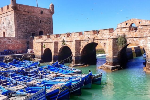 Marrakech to Essaouera day trip