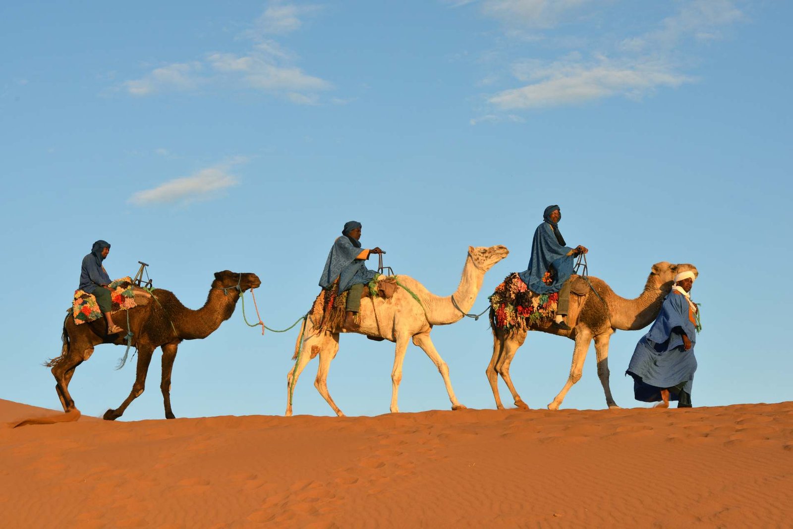 Best Morocco desert tours