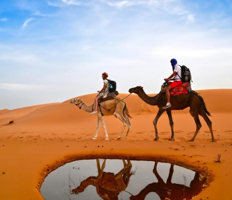 Best Morocco desert tours